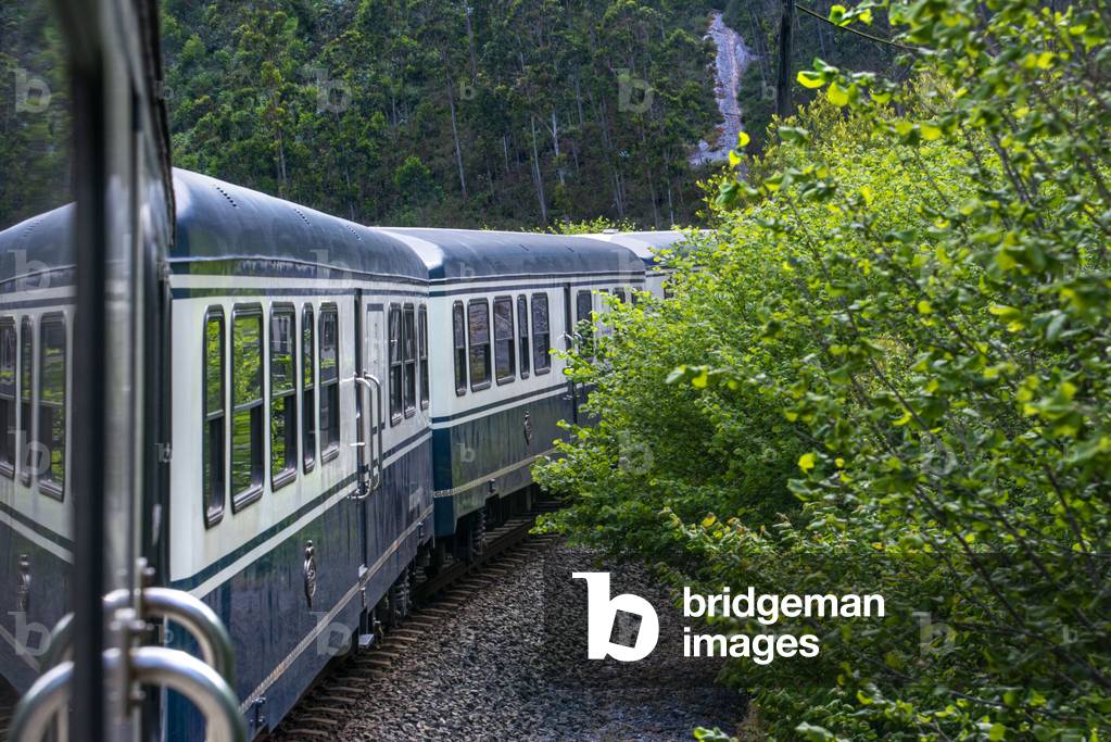 Outside carriages of Transcantabrico Gran Lujo luxury train, NORTH OF SPAIN, 2021 (photo)