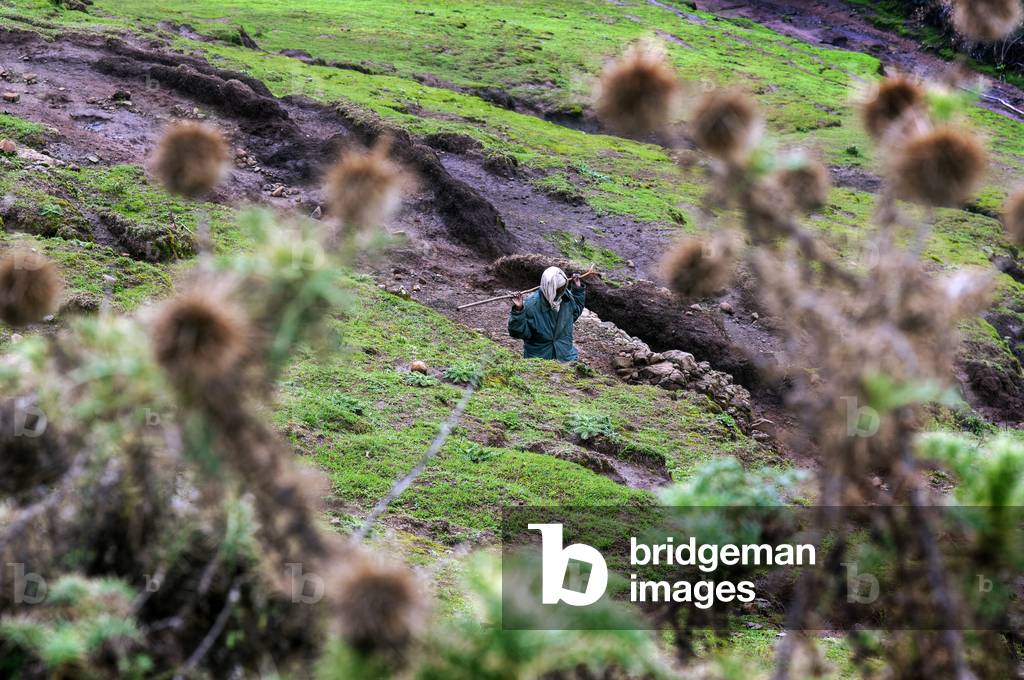 Local villagers in the Simien Mountains National Park, Amhara Region, Ethiopia  (photo)
