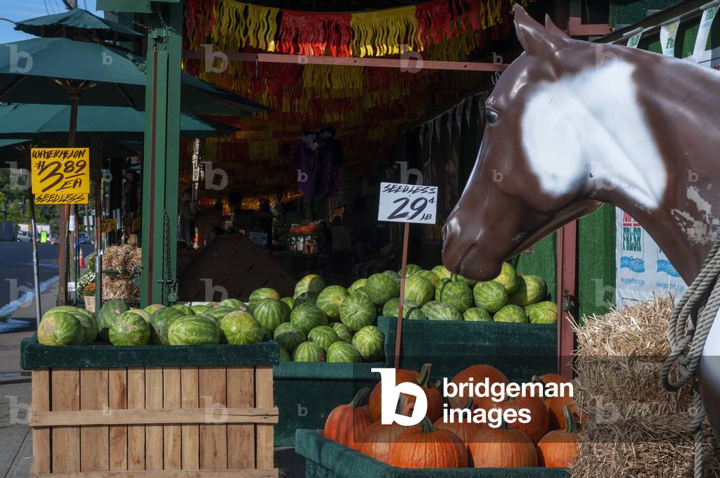 Pumpkin seedlees and watermelon selling in New York , USA (photo)
