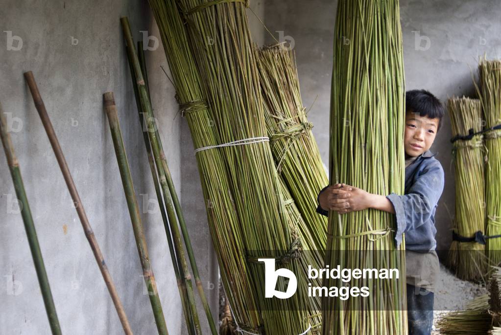 A boy carry bamboo in the way of Sapa to the nearby villages of Lao Chai and Ta Van, Vietnam (photo)