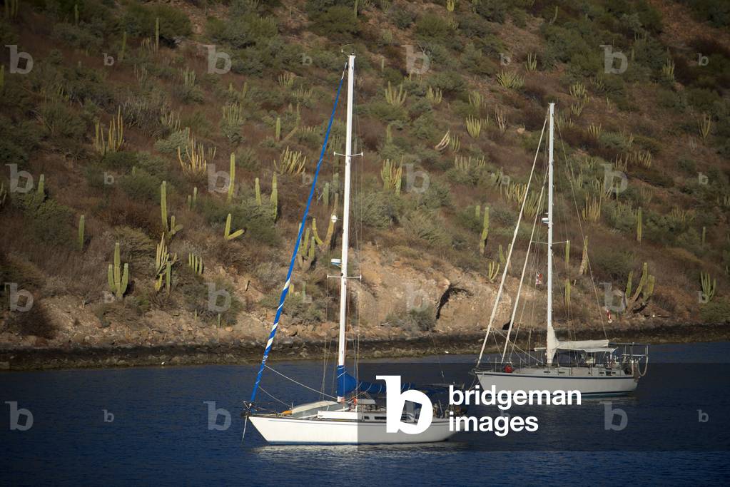 Sailing boats anchoreds in Puerto Escondido in Sea of Cortes, Baja California Sur, Mexico (photo)