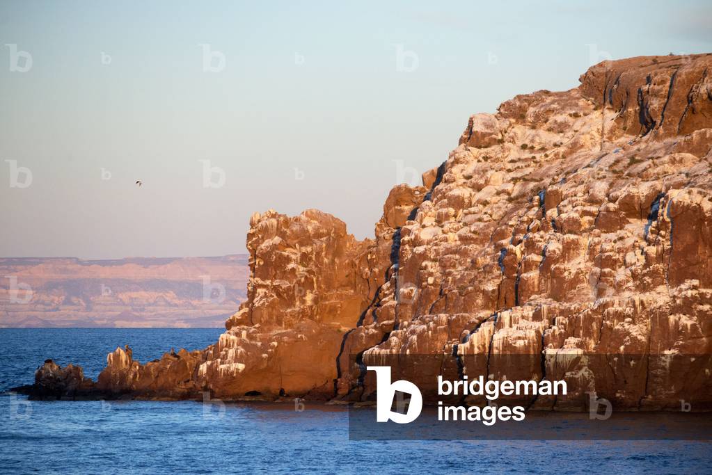 A tourist take pictures at sunrise in Los Islotes sea lion rookery, Sea of Cortez, Baja California, Mexico (photo)