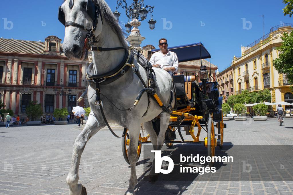 Horse drawn carriages in Plaza Virgen de los Reyes and Archbishop's Palace of Seville (Palacio Arzobispal), Spain (photo)