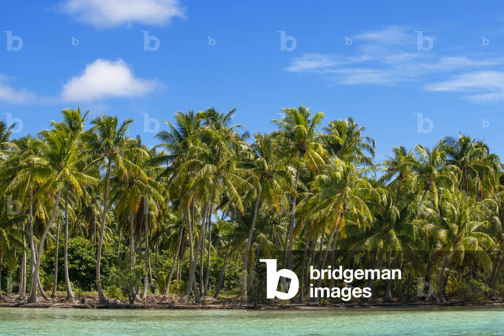 Tropical paradise seascape Taha'a island landscape, French Polynesia, Motu Mahana palm trees at the beach, Taha'a, Society Islands, French Polynesia, South Pacific, 2020 (photo)