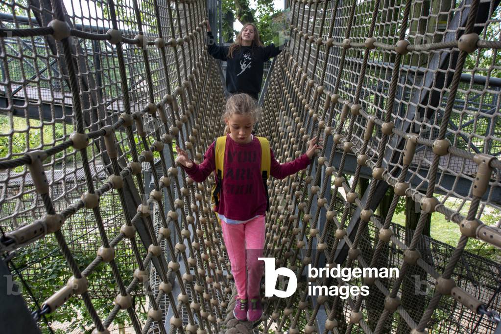 Children walking over rope bridge / swing bridge / suspended bridge at canopy tour in adventure park in summer. Planckendael zoo, Mechelen, Belgium (photo)