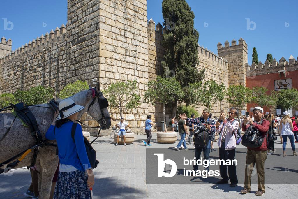 Asian tourists taken pictures with a horse with walls of Real Alcazar Seville, Spain (photo)