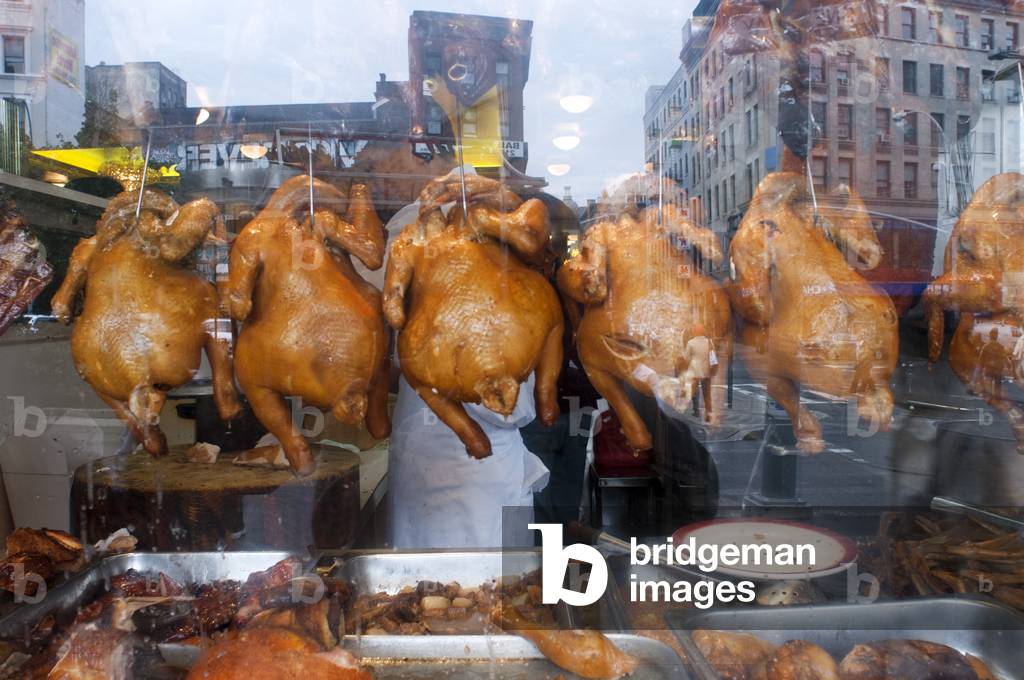 Peking Ducks on Display in Chinatown, Manhattan, New York, USA (photo)