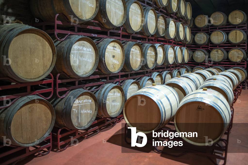 Wine barrels in Falset Cooperative Wineries Priorat, TARRAGONA, 2021 (photo)