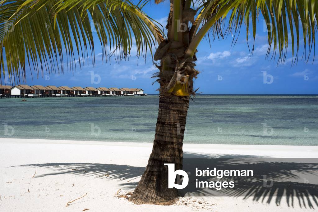 Palm and Luxury bungalows villas in The Residence Hotel and Resort, Gaafu Alifu Atoll, Maldives Islands (photo)