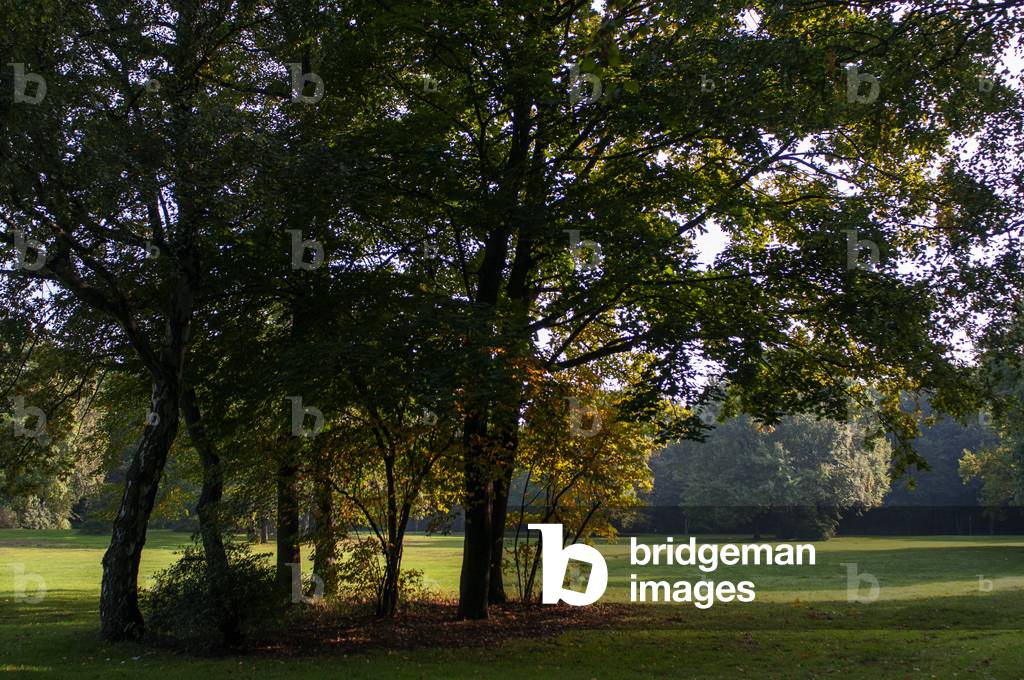 Public park nature Tiergarten central city garden in Berlin, Germany (photo)