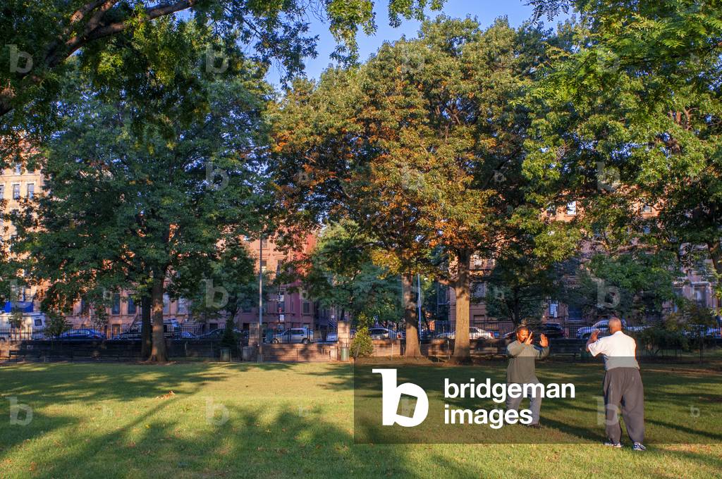 Morning tai chi at Garvey Park, Harlem, New York, USA, 2020 (photo)