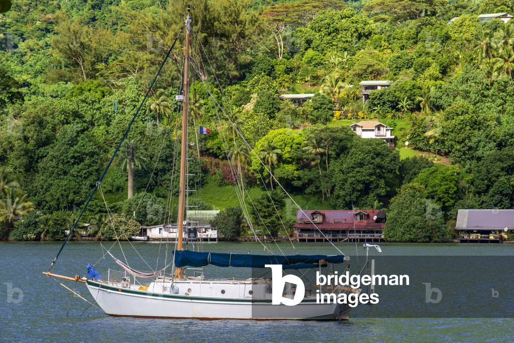 Sailing boat, Cook's or Paopao Bay, Mt, Rotui and Mt, Mouaroa, Moorea, Society Islands, French Polynesia, South Pacific, Oceania.

Cook's Bay, Cooks Bucht, Mount Rotui und Mt, Mouaroa, Moorea, Gesellschaftsinseln, Französisch-Polynesien, Südsee, Ozeanien - idyllisches Insel Inseln Küste Küsten Küstenlandschaft Küstenlandschaften Kueste Kuesten Kuestenlandschaft Kuestenlandschaften Landschaft Landschaften Meere Meeresküste Meeresküsten Meereskueste Meereskuesten Moorea Mouaroa Mount Mt Natur Ozeanien Polynesien Reise reisen Reisen reisend reisende reisender reisendes Reiseverkehr Rotui Südsee Schiff Schiffe Segelboot Segelboote Segelschiff Segelschiffe Suedsee Tag Tage Tageslicht tagsüber tagsueber Tourismus Touristik Traumurlaub Traumurlaube Tropen tropisch tropische tropischer tropisches und Urlaub Yacht Yachten, 2020 (photo)