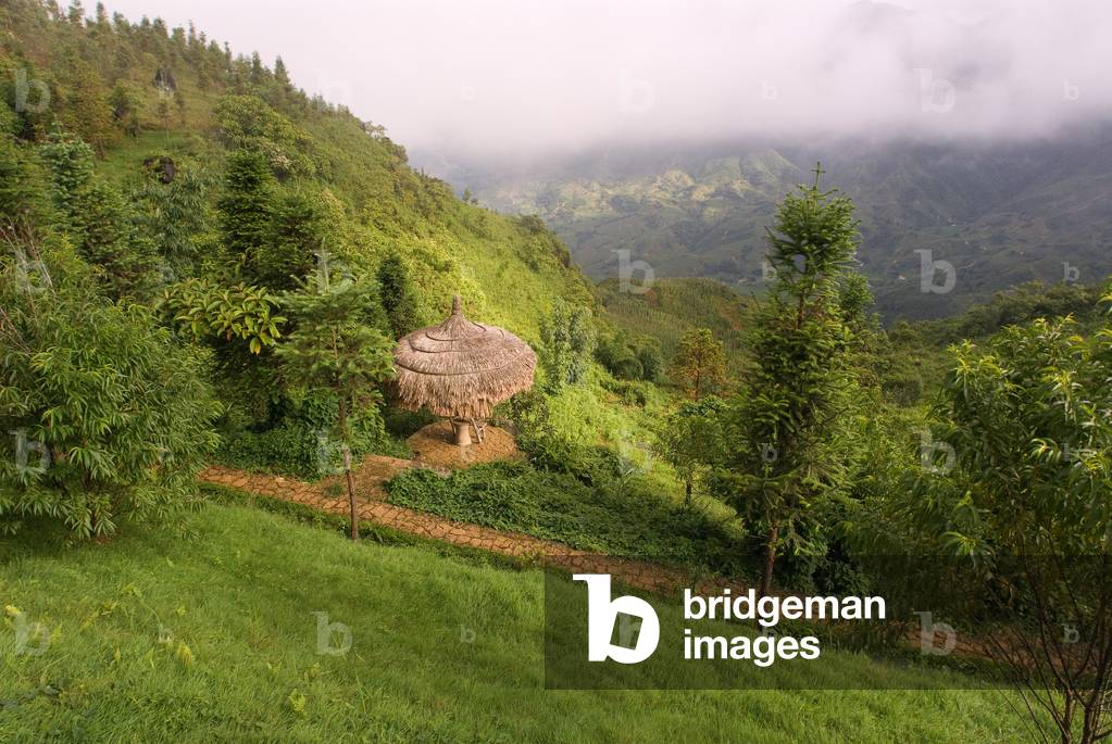 Region around Sapa, Vietnam (photo)