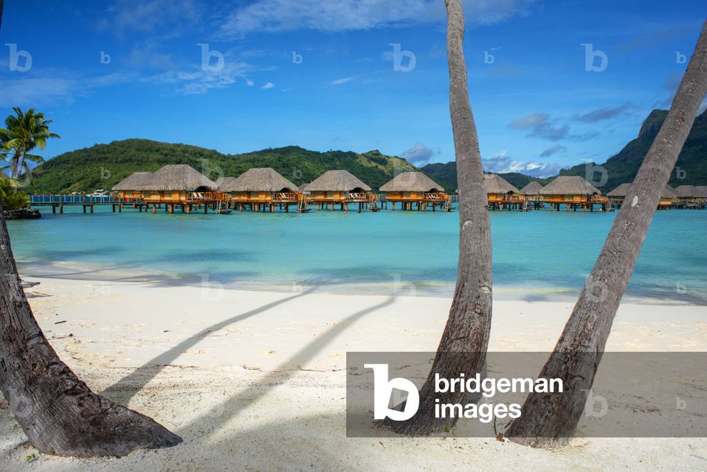 Palms in the beach at Le Bora Bora by Pearl Resorts luxury resort in motu Tevairoa island, a little islet in the lagoon of Bora Bora, Society Islands, French Polynesia, South Pacific, 2020 (photo)
