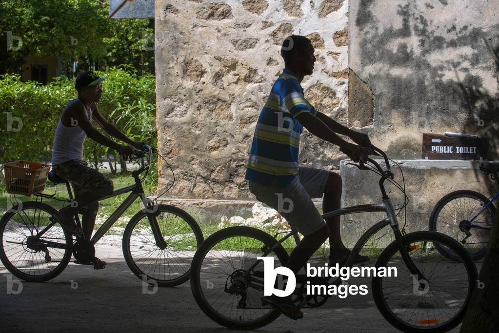 Bicycles in La Digue Island Anse Source d'Argent Seychelles (photo)