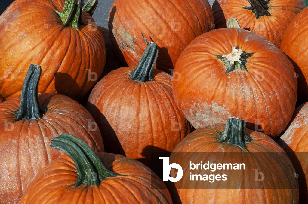 Pumpkin seedlees and watermelon selling in New York , USA (photo)