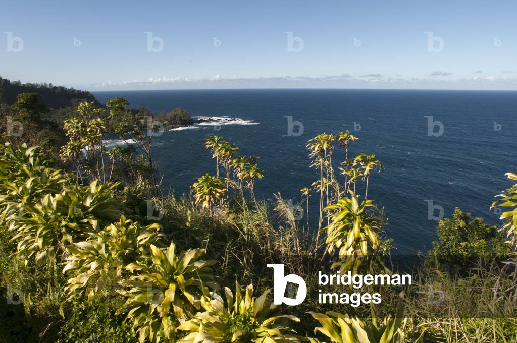 Volcanic coast at Laupahoehoe Point, Hamakua Coast, Big Island, Hawaii (photo)