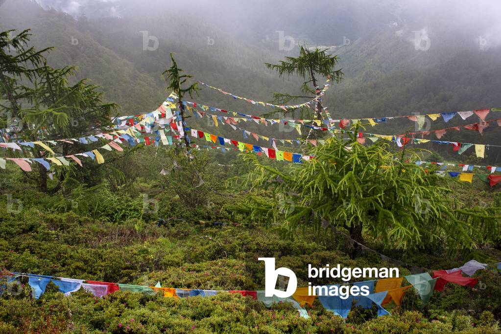 Buddhist Prayer Flags, Cheli La Pass, Bhutan, 2021 (photo)
