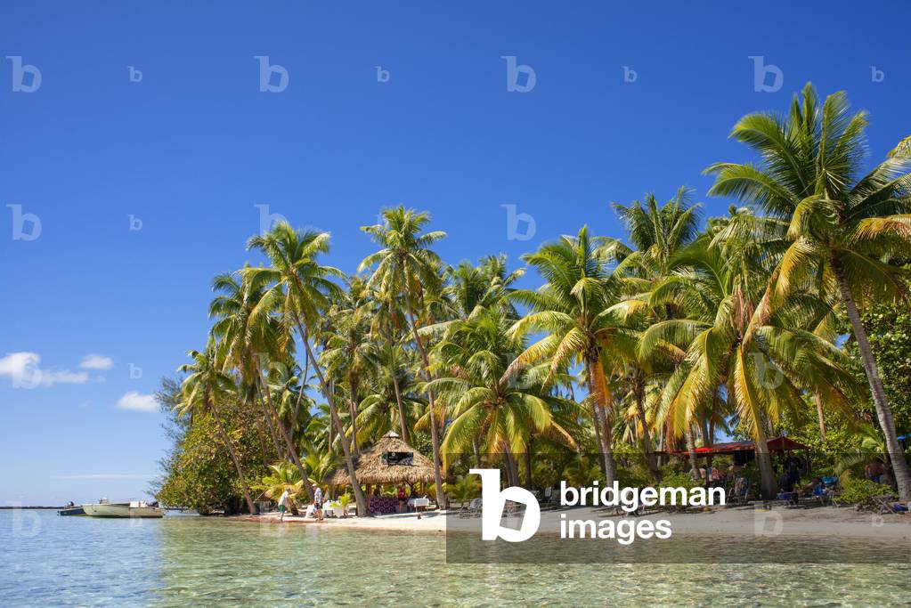 Tropical paradise seascape Taha'a island landscape, French Polynesia, Motu Mahana palm trees at the beach, Taha'a, Society Islands, French Polynesia, South Pacific, 2020 (photo)