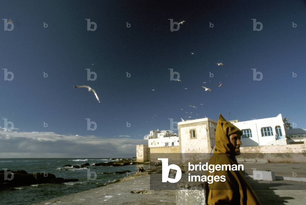 Port Skala fishing harbour, Essaouira, Morocco, Africa (photo)