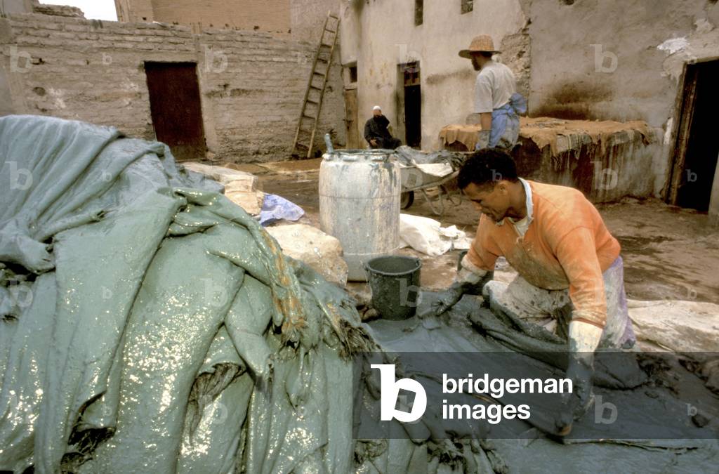 Men working at a tannery in Old Medina, Marrakech, Morocco, North Africa, Africa (photo)