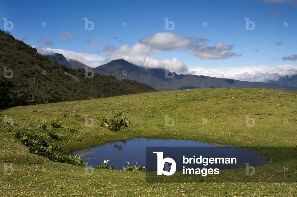 Small lagoon near Los Nevados village in andean cordillera Merida state Venezuela (photo)