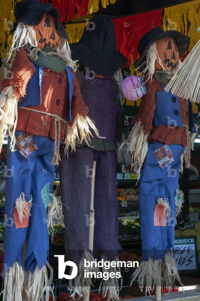 Scarecrow with a pumpkin face salling during Halloween day in New York, USA (photo)