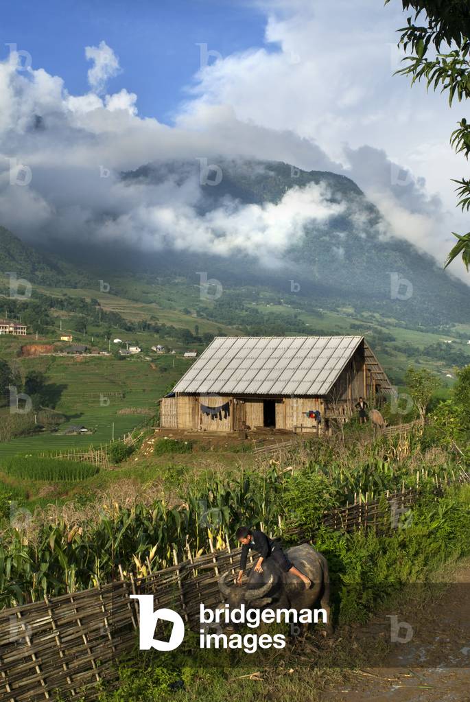 Sunset in the rice terraces nearby of Lao Chai village, Local houses, Trekking Sapa to Lao Chai, Vietnam (photo)