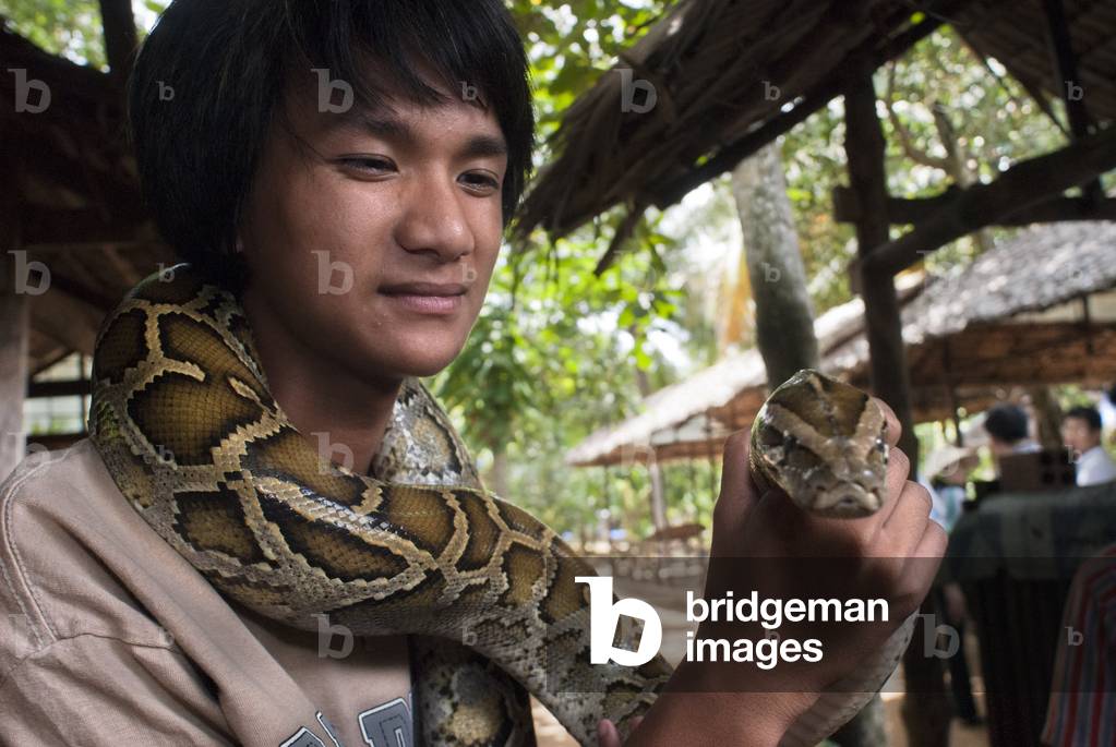 A tourist takes pictures with a boa snake in Turtle Island (Con Qui), Mekong Delta, Vietnam (photo)
