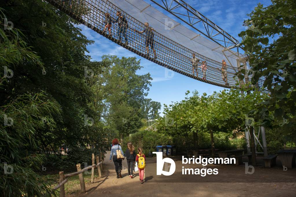 Child with grandparents walking over rope bridge / swing bridge / suspended bridge at canopy tour in adventure park in summer. Planckendael zoo, Mechelen, Belgium (photo)