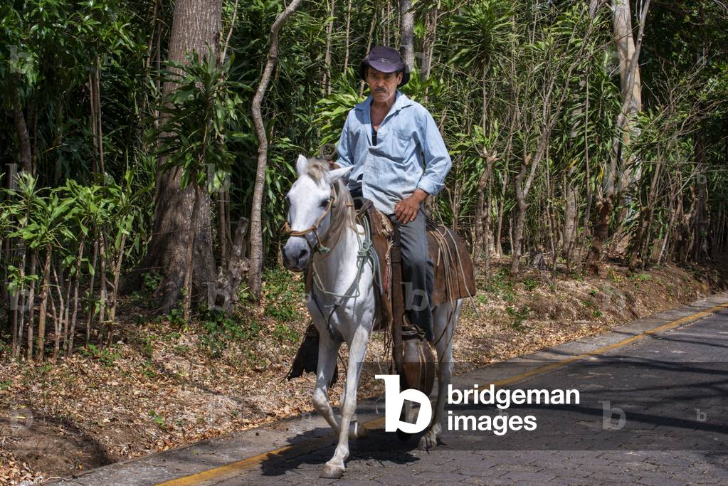 Horse and rider carrying plantains on the volcanic island of Ometepe in lake Nicaragua, Central America, America (photo)