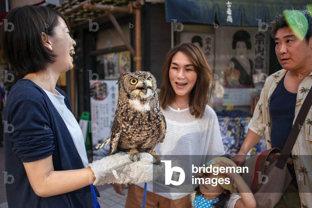 Owl cafe. Young Japanese woman advertising and promoting local bar where customers can pet and touch wild animals. Asakusa district, Tokyo, Japan, March 2020 (photo)