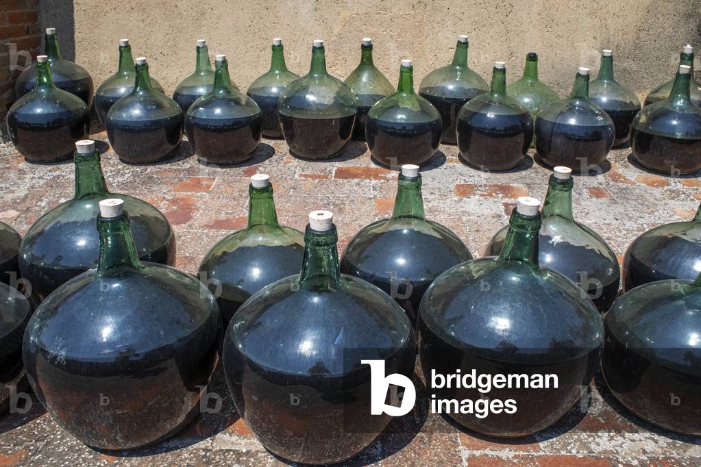 Stale wine in Falset Cooperative Wineries Priorat, TARRAGONA, 2021 (photo)