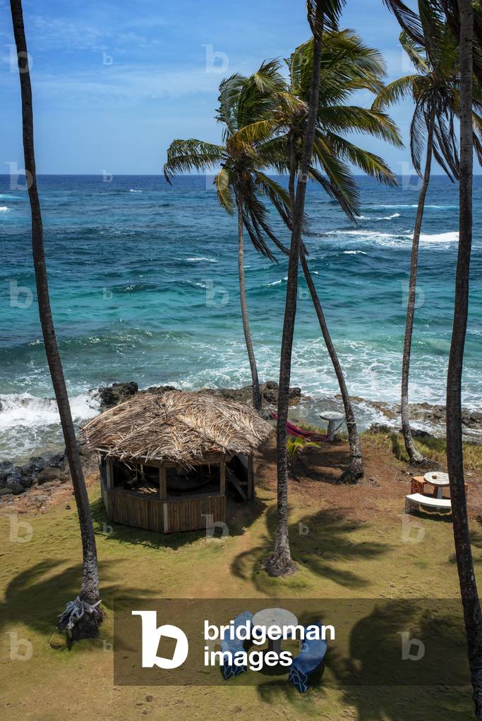 Palms and wild beaches in Big Corn Island, Caribbean Sea, Nicaragua, Central America, America (photo)