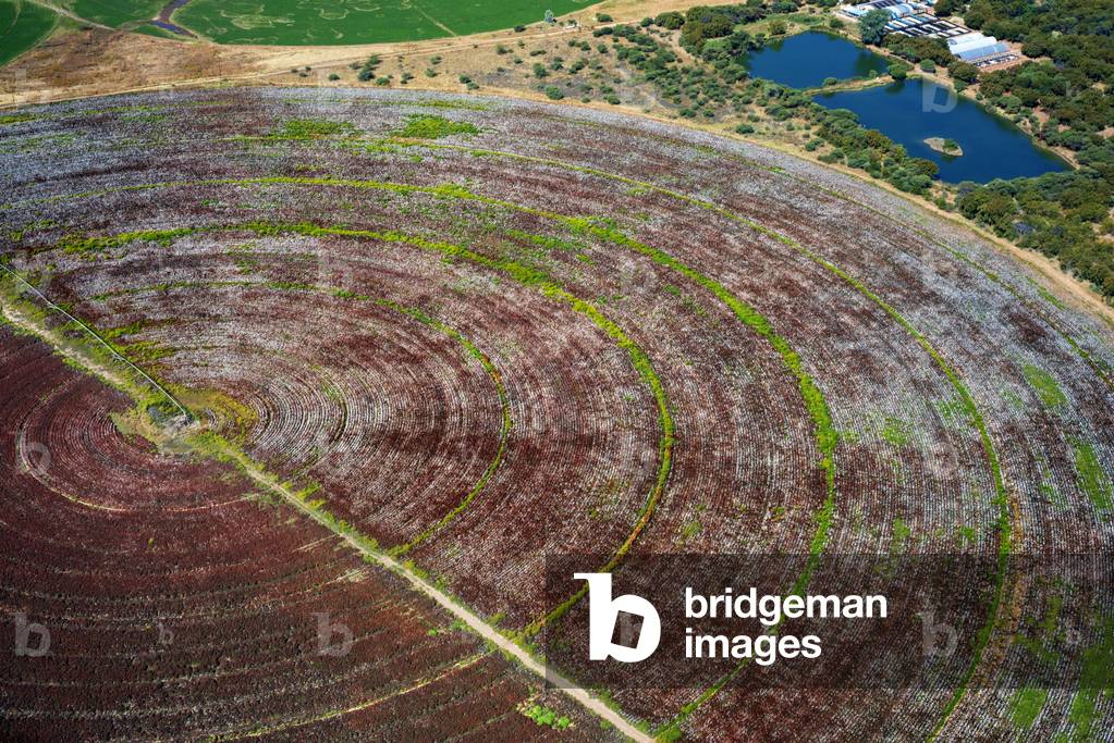 Aerial view of circular fields nearby north west of Johannesburg, South Africa, 2020 (photo)