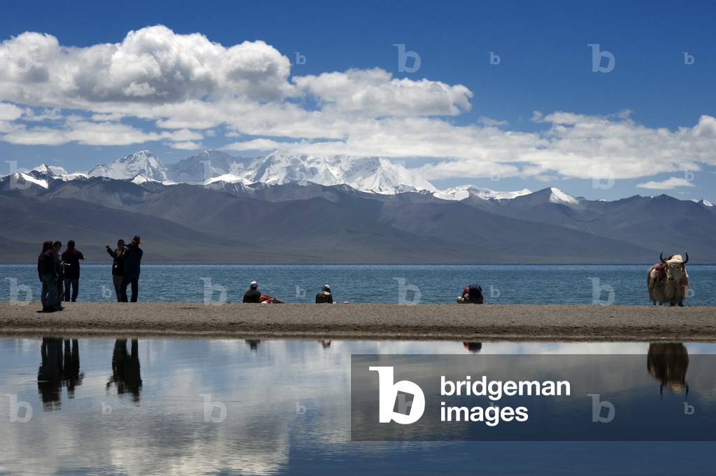 Tourists and yaks in Nam Tso Lake (Nam Co) in Nyainqentanglha mountains, Tibet (photo)
