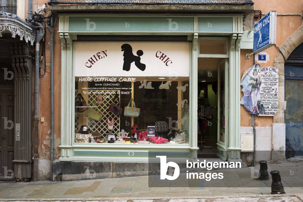 Dog grooming and hairdressing shop, Narbonne, France (photo)