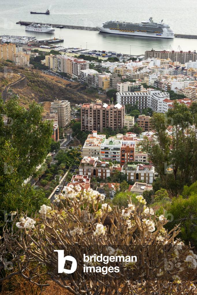 Landscape of the city of Santa Cruz de Tenerife Elevated view from Mirador de los Campitos. Tenerife Island Canary Islands Spain (photo)