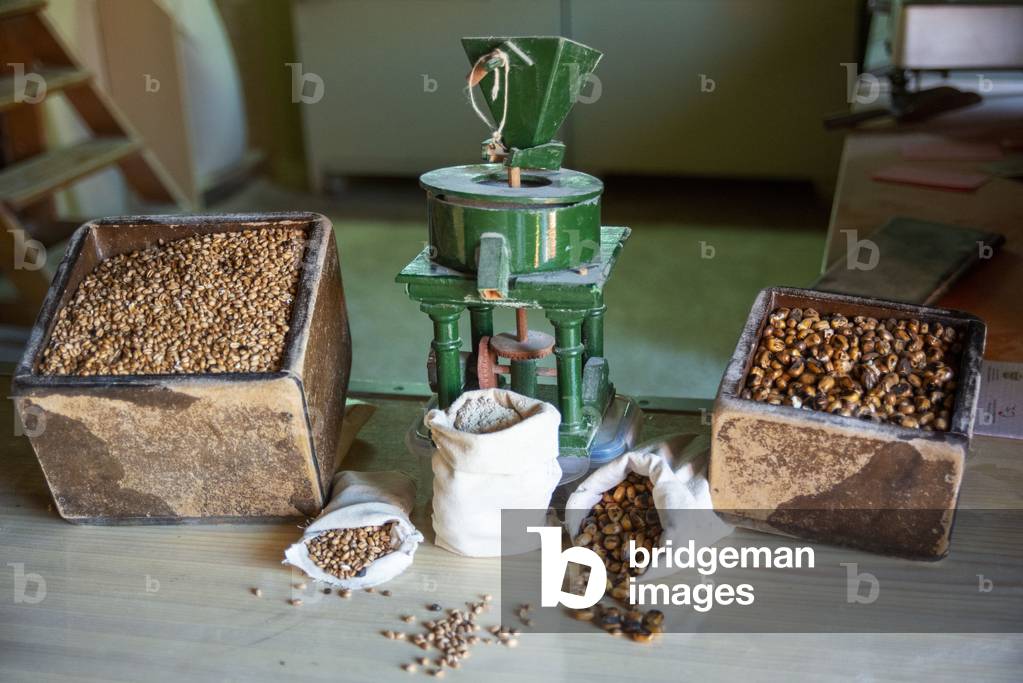 Shop and old water driven mill where toasted corn is ground to make a flour called gofio in a traditional manner in La Orotava, Tenerife Island, Canary Islands, Spain (photo)
