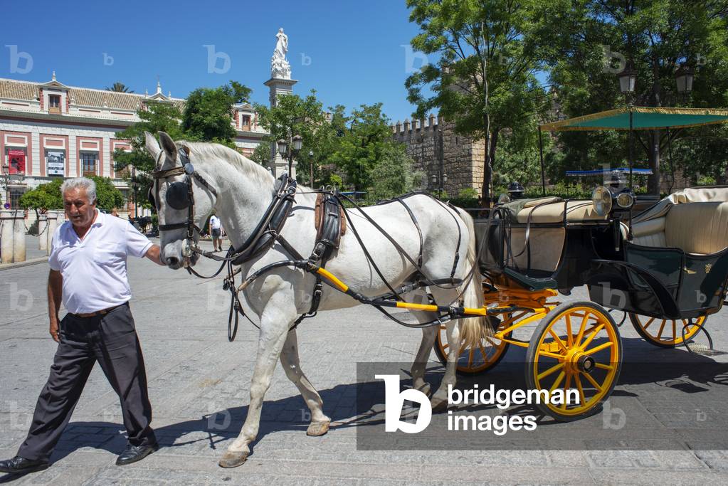 Horse and carriage ride with walls of Real Alcazar Seville, Spain (photo)