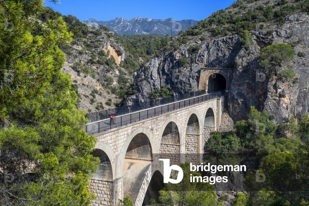 Pont de Riberola bridge on the Val de Zafán greenway, TARRAGONA, 2021 (photo)