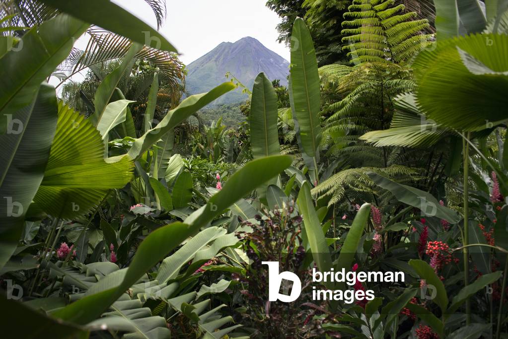 Volcano views from the rooms at Nayara Hotel, Spa & Gardens, Oeste de Fortuna, La Fortuna de San Carlos, Arenal Volcano National Park, Costa Rica (photo)