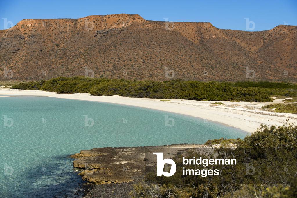 Beach of Isla Espiritu Santo island, Sea of Cortez, Baja California, Mexico (photo)