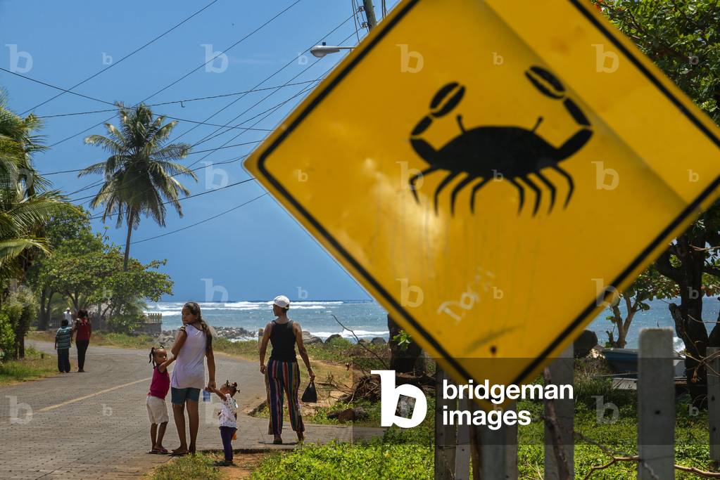 Crab crossing caution street sign on only road Big Corn Island Nicaragua, Central America, America (photo)