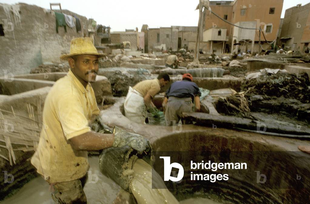 Men working at a tannery in Old Medina, Marrakech, Morocco, North Africa, Africa (photo)