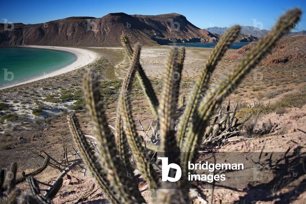 Isla San Francisco, Sea of Cortes, Baja California Sur, Mexico (photo)