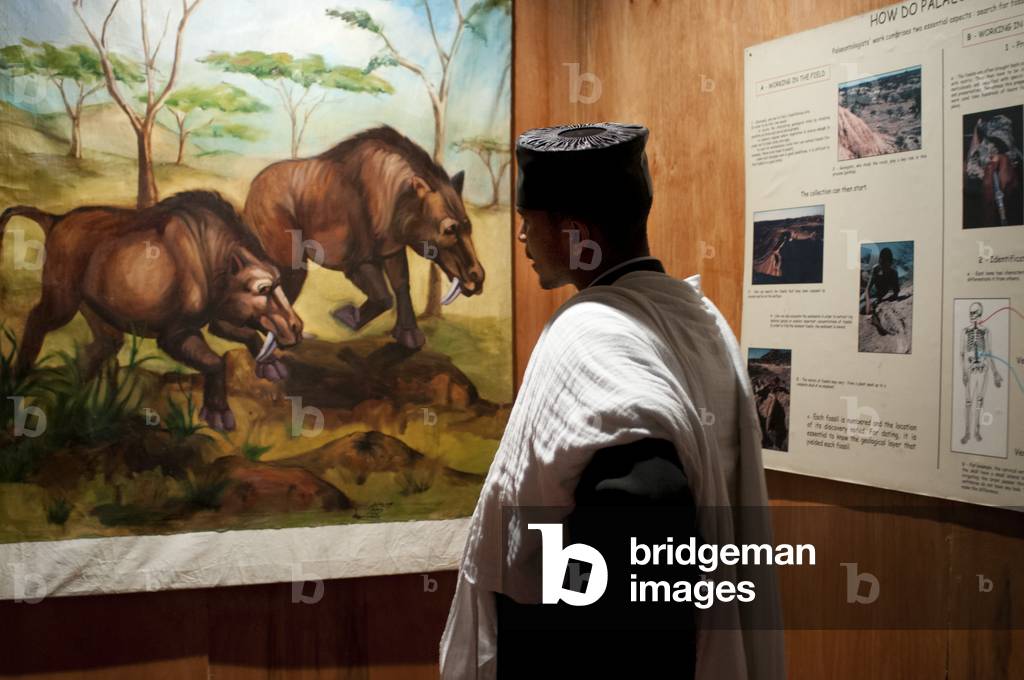 National Museum of Ethiopia in Addis Ababa, Ethiopia (photo)