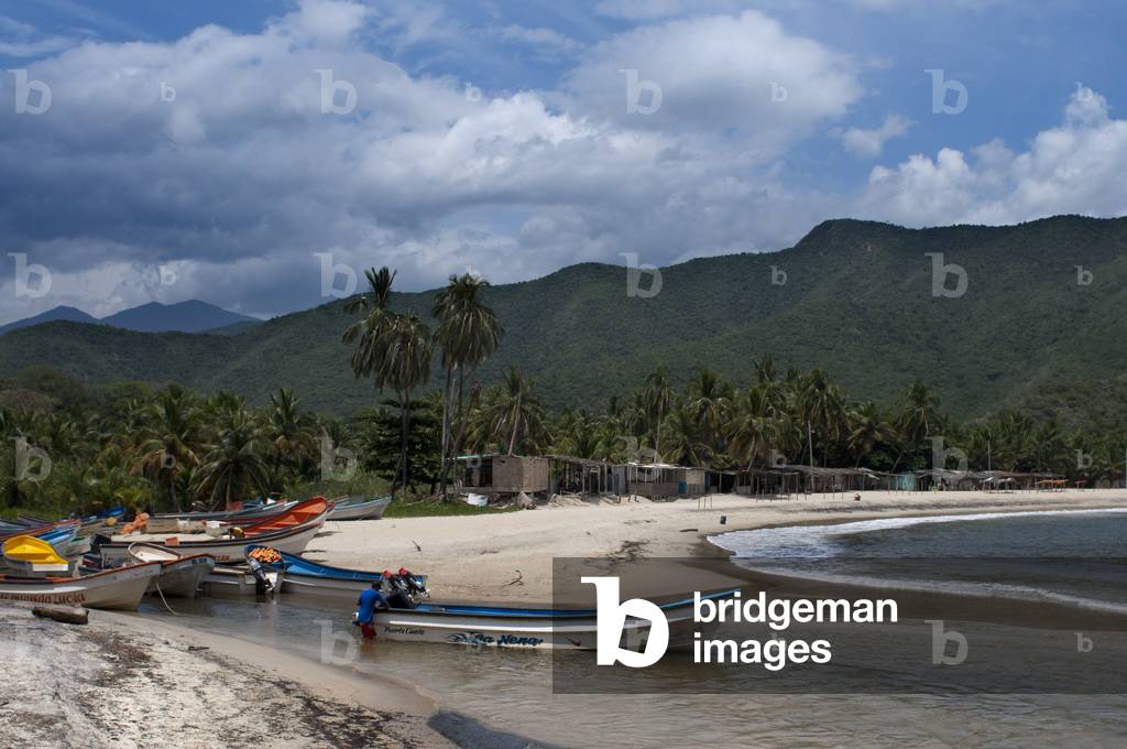 Boats in Chuao beach in Falcon state in Venezuela - Henri Pittier National Park, in Venezuela.  (photo)