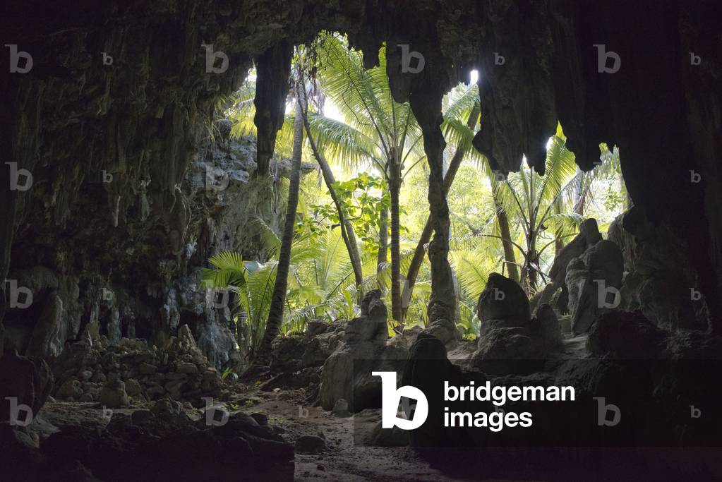 Inside a Kopeka Bird Cave, Atiu Island, Cook Island, Polynesia, South Pacific Ocean (photo)