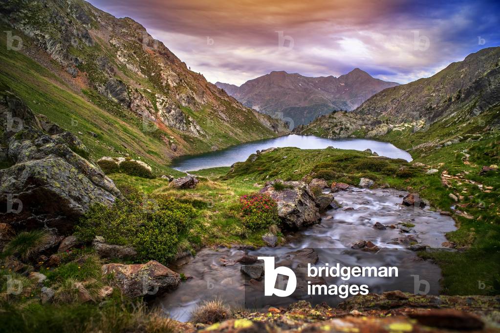 Sotllo pond in Alt Pirineu Natural Park, Lleida, 2021 (photo)